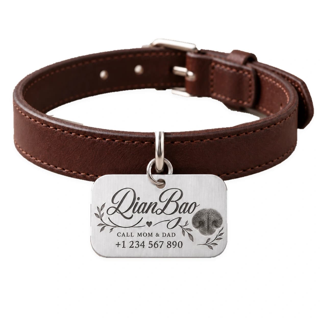 Reference image of a silver tag with name and nose print on a brown smooth collar