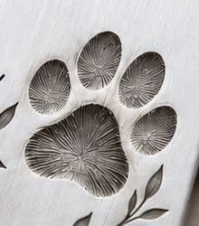 Paw print example