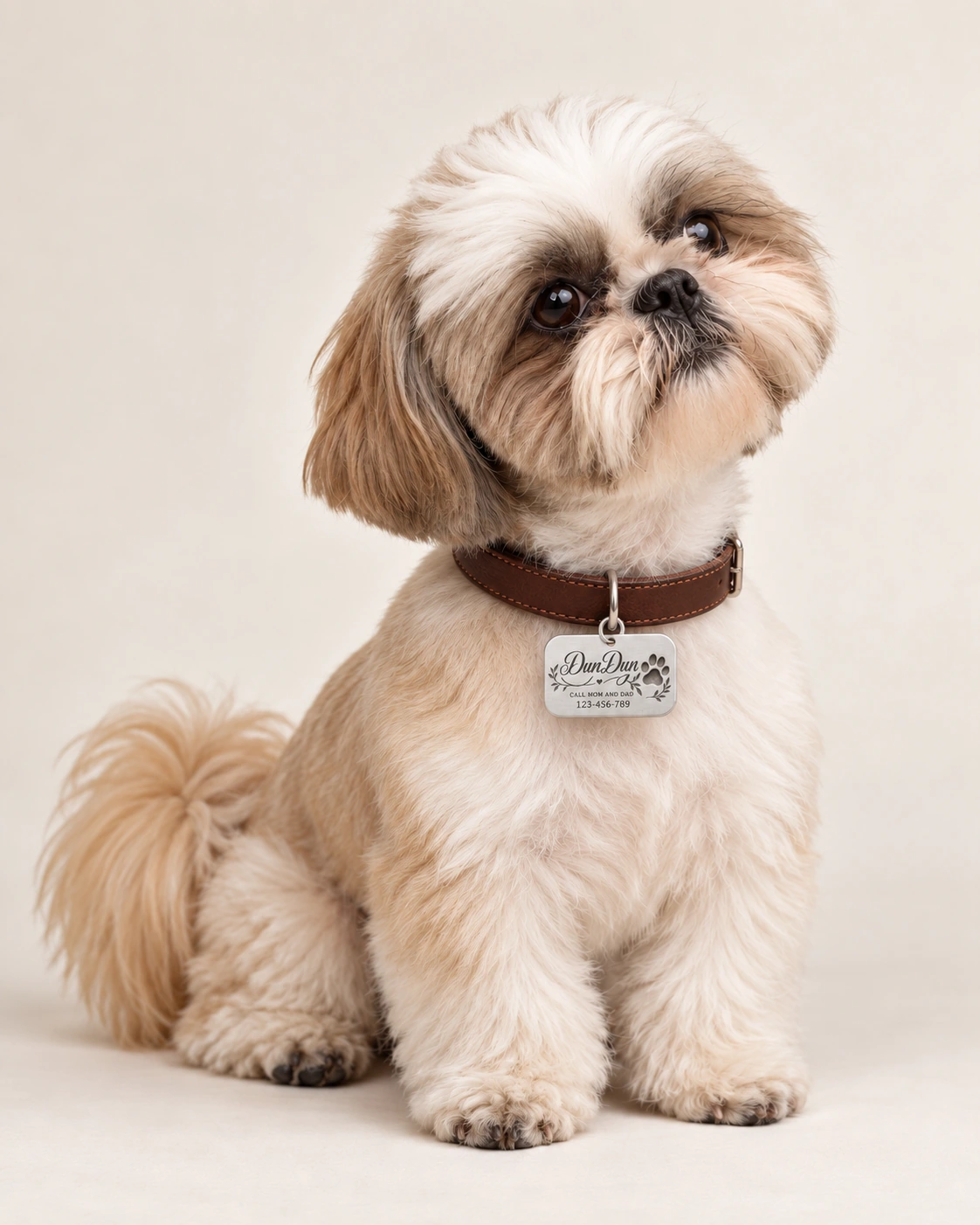 DunDun wearing Courage · Brown Smooth Collar