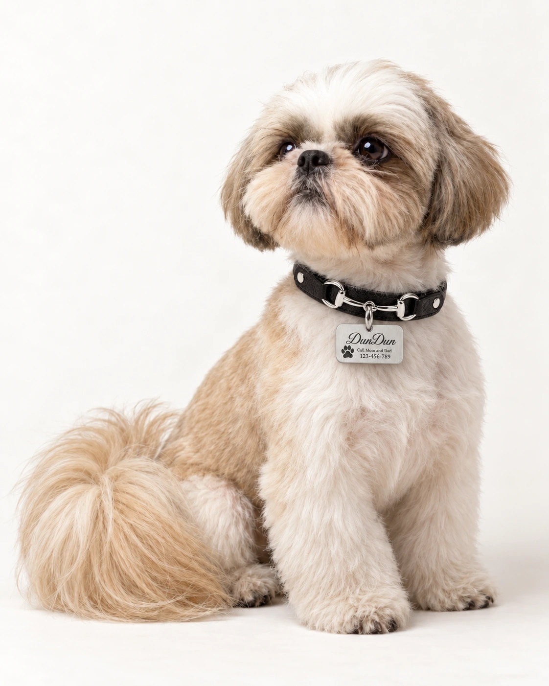 DunDun wearing Harmony · Black Metal Detail Collar