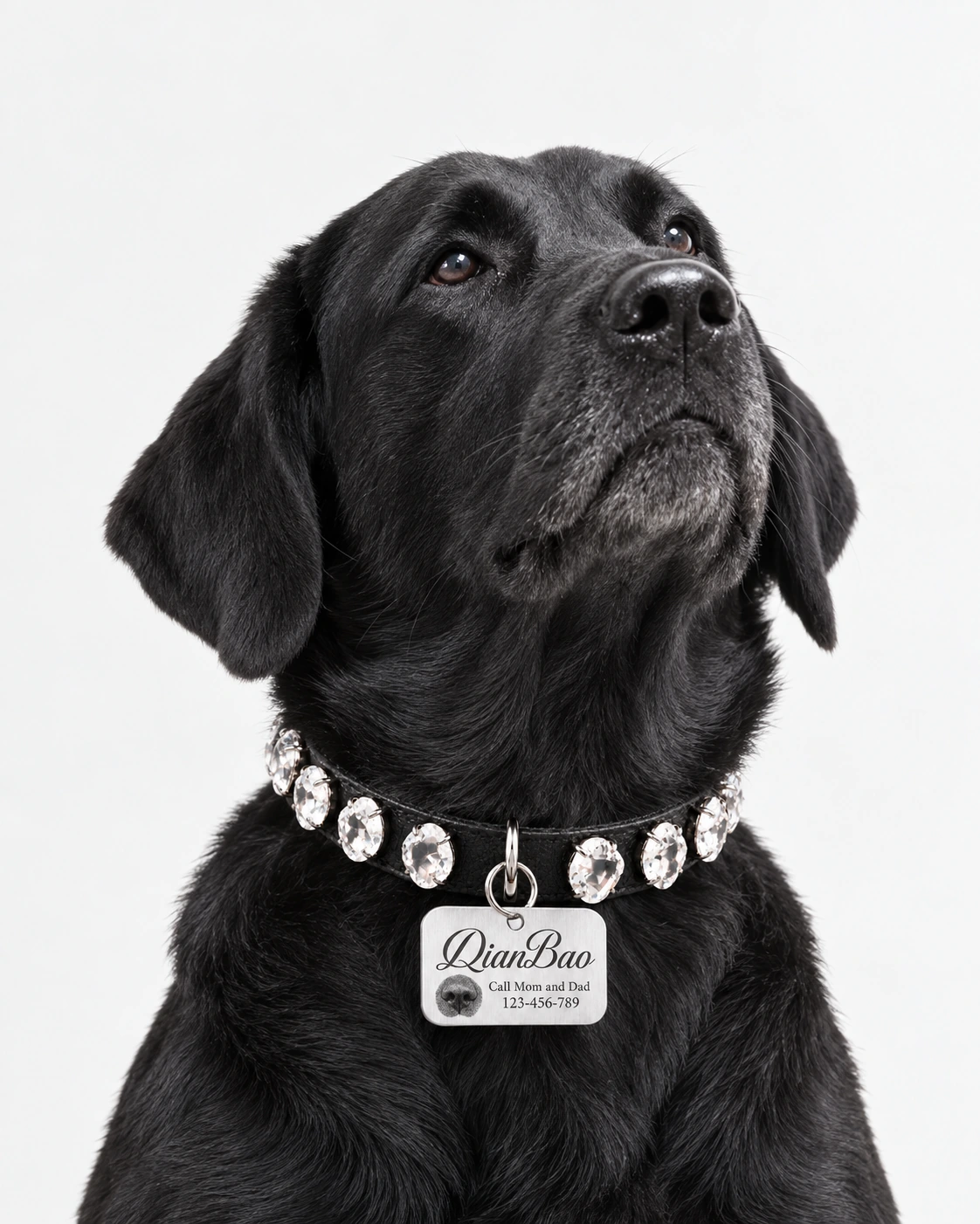 QianBao wearing Serenity · Hand-Set White Crystal Collar